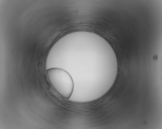 X0000112860611200908211057