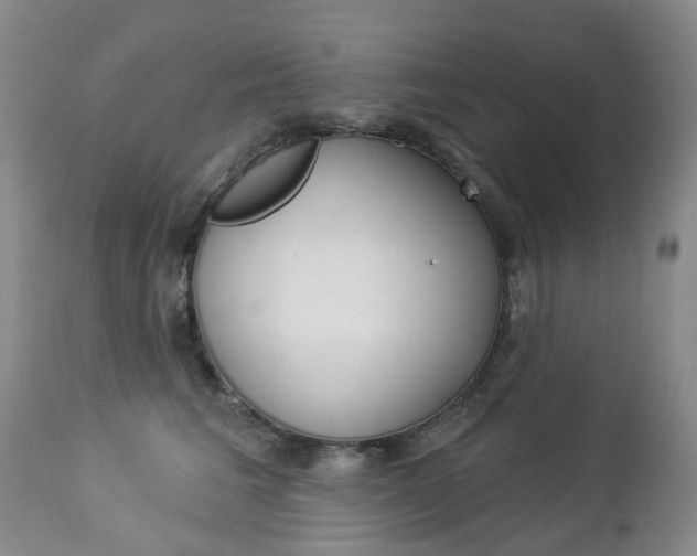 X0000112860613200908211057