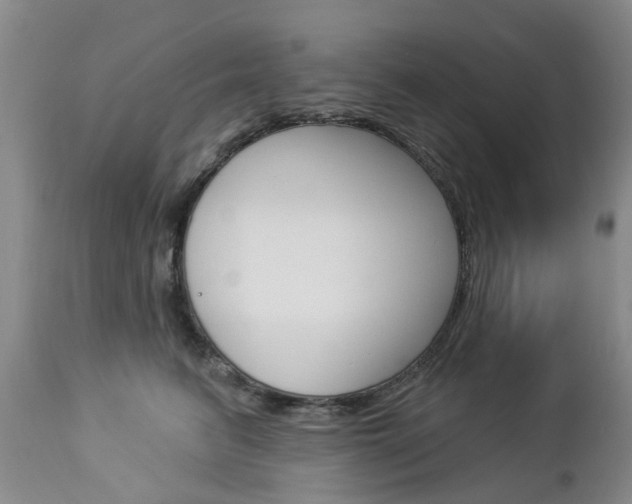 X0000112860615200908211057