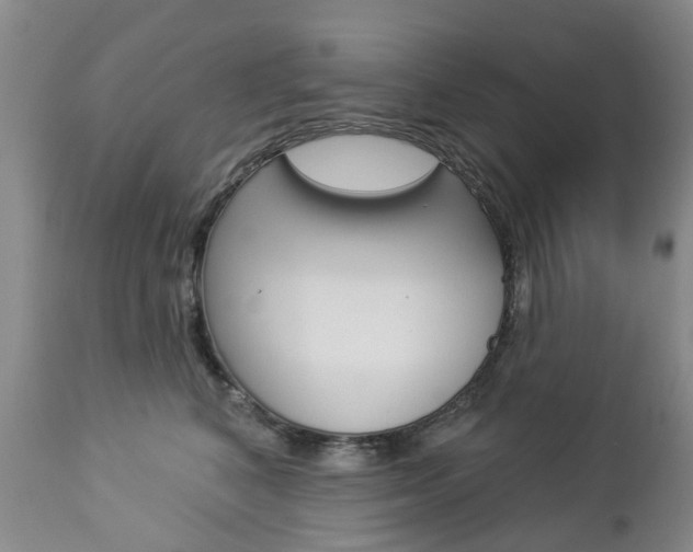 X0000112860616200908211057