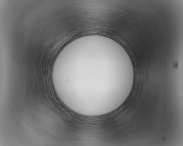 X0000112860617200908211057