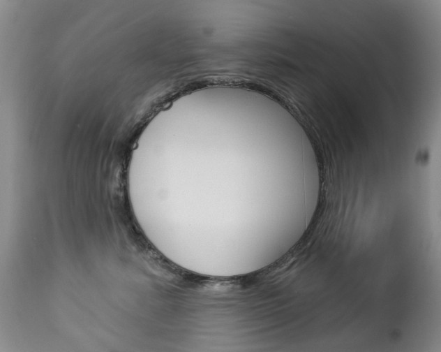 X0000112860619200908211057