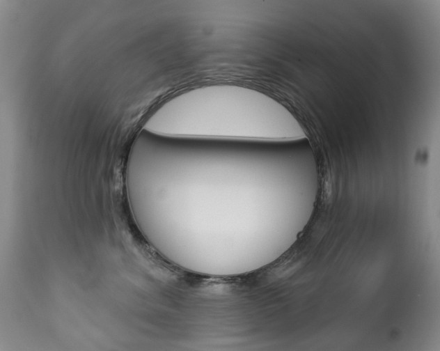 X0000112860620200908211057