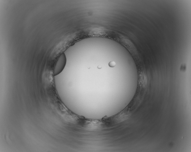 X0000112860621200908211057