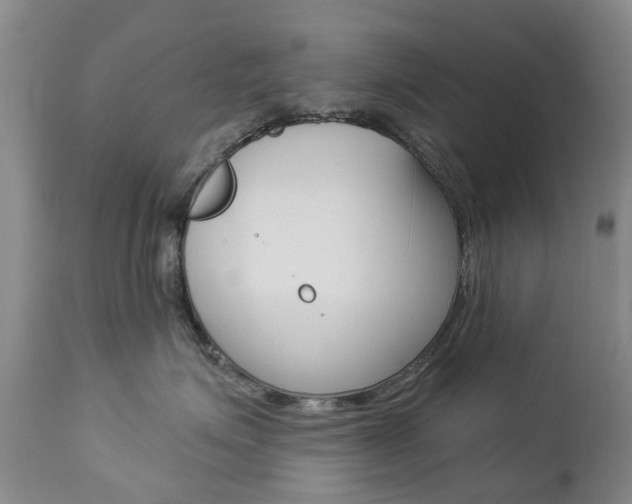 X0000112860623200908211057