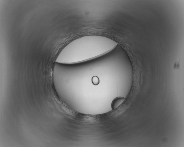 X0000112860624200908211057