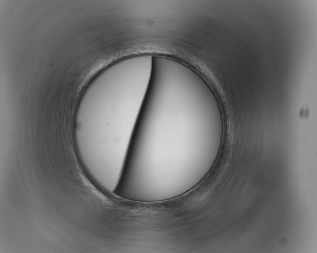 X0000112860625200908211056