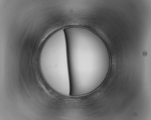 X0000112860626200908211056