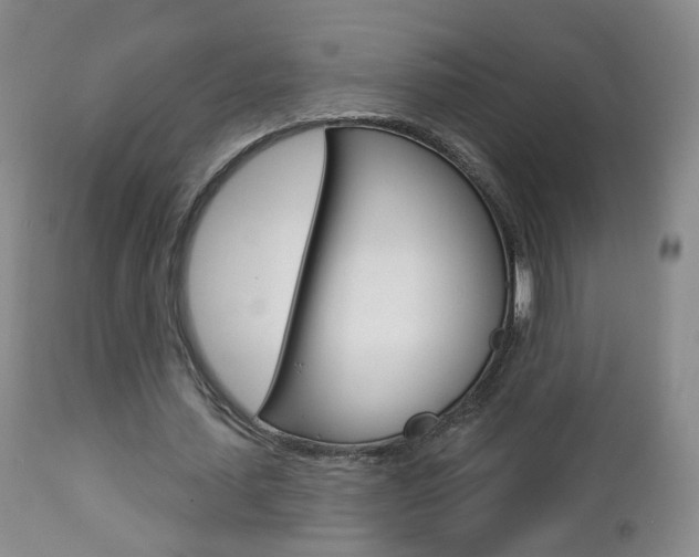 X0000112860627200908211056