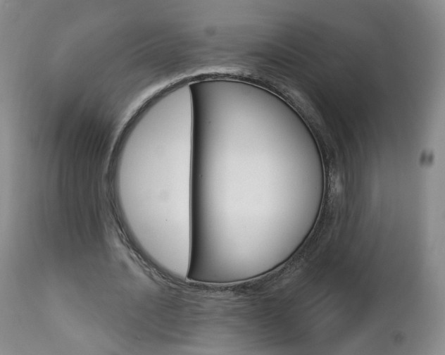 X0000112860628200908211056