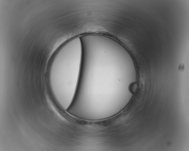 X0000112860630200908211056