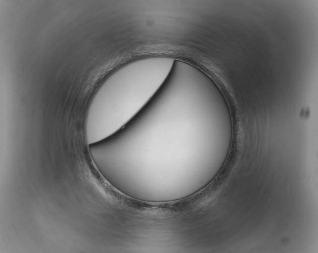 X0000112860633200908211056
