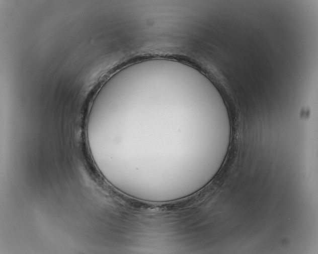 X0000112860635200908211056