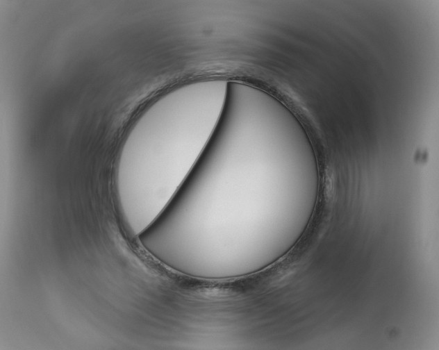 X0000112860637200908211056