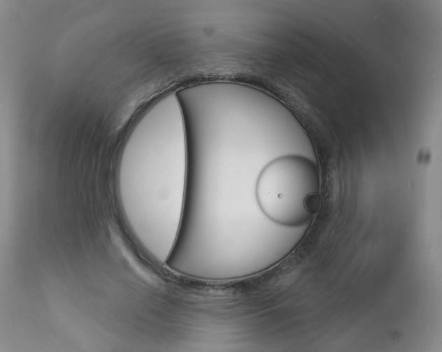 X0000112860638200908211056