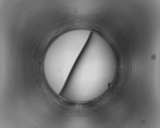 X0000112860641200908211056