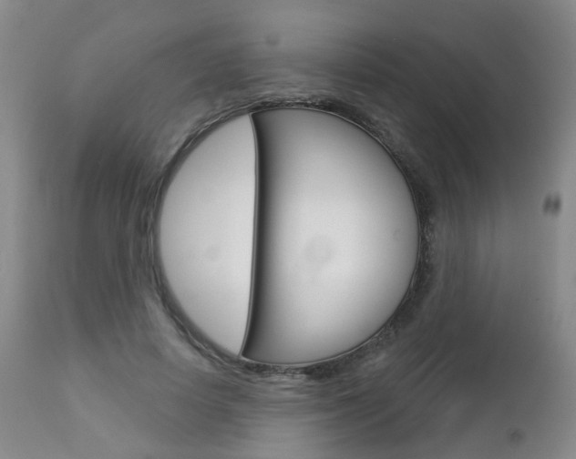 X0000112860642200908211056