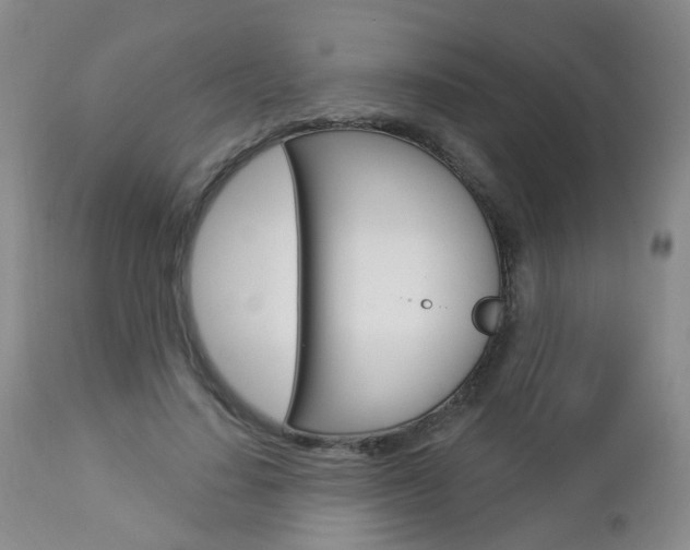 X0000112860644200908211056
