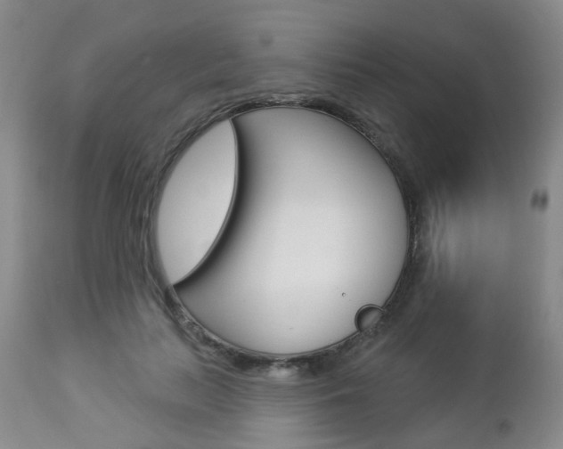 X0000112860647200908211056