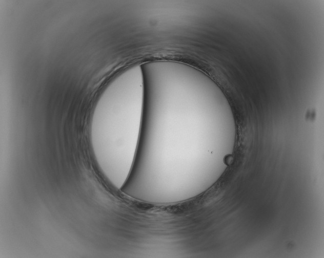 X0000112860648200908211056