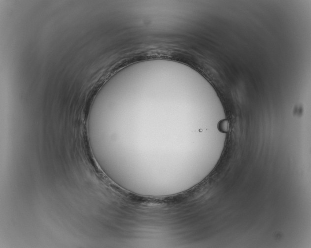 X0000112860649200908211056