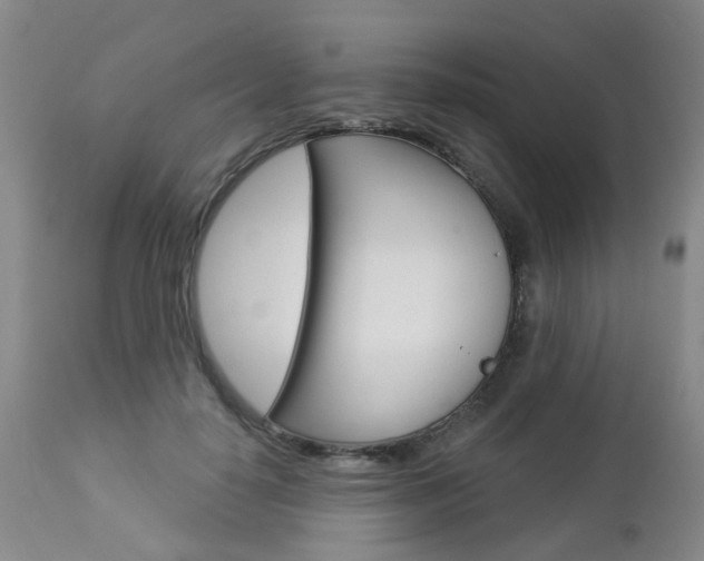 X0000112860650200908211056