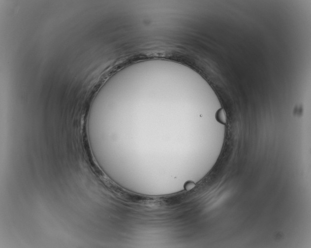 X0000112860652200908211056
