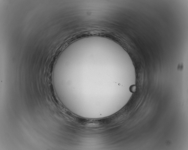 X0000112860653200908211056