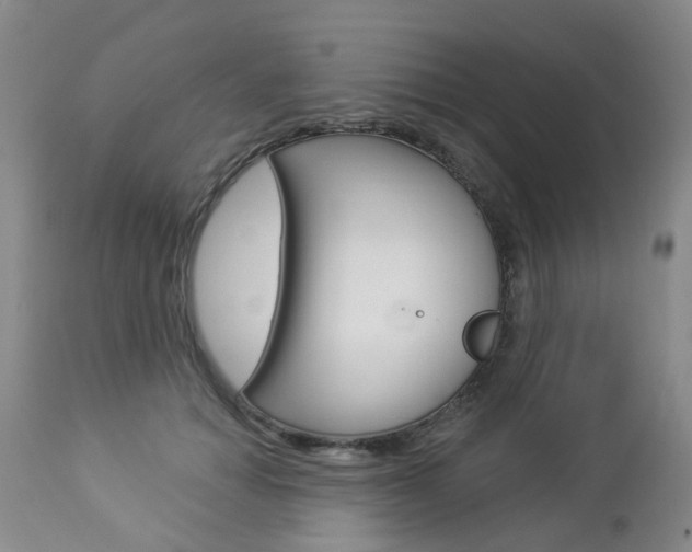 X0000112860654200908211056