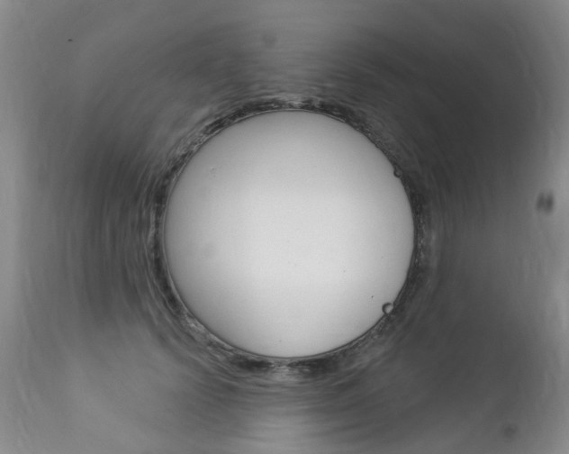 X0000112860656200908211056