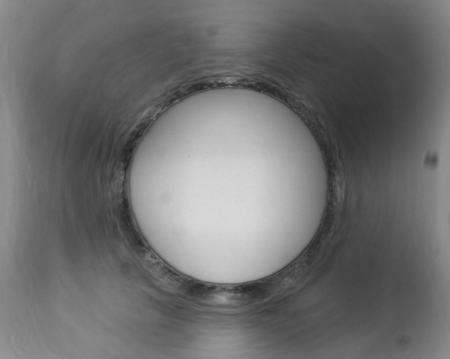 X0000112860657200908211056