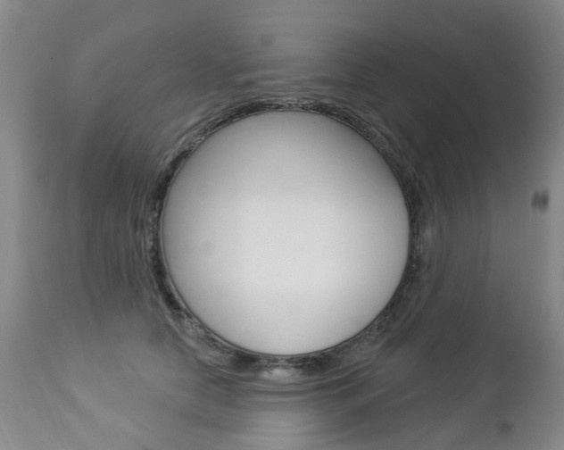 X0000112860658200908211056
