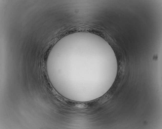 X0000112860659200908211056
