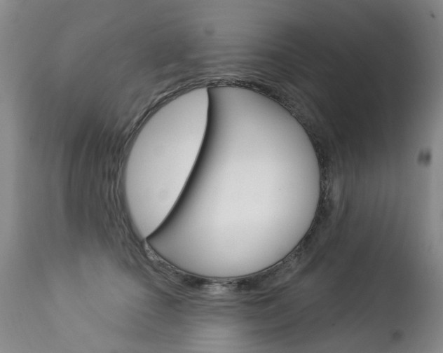 X0000112860660200908211056