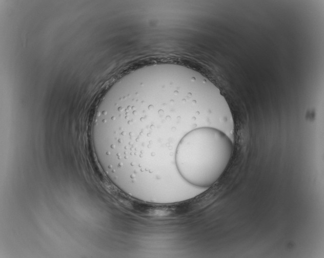 X0000112860662200908211056