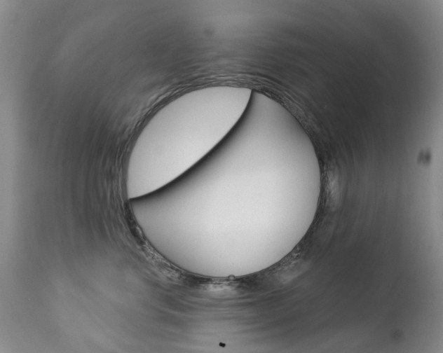 X0000112860668200908211056