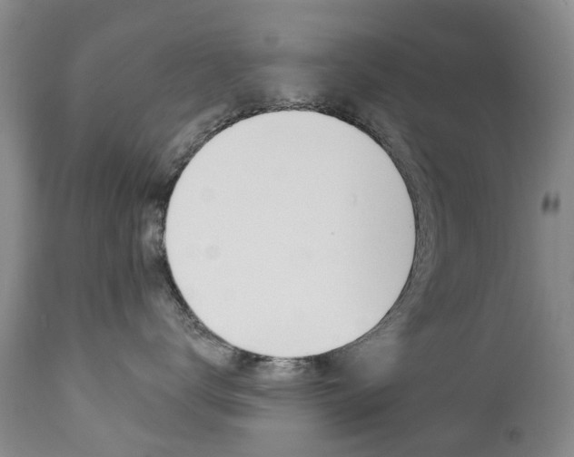 X0000112860672200908211057