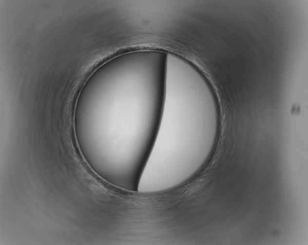 X0000112860673200908211056