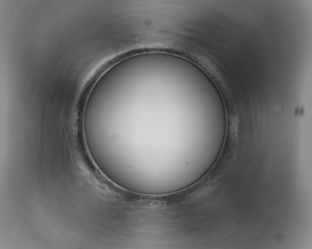 X0000112860676200908211056