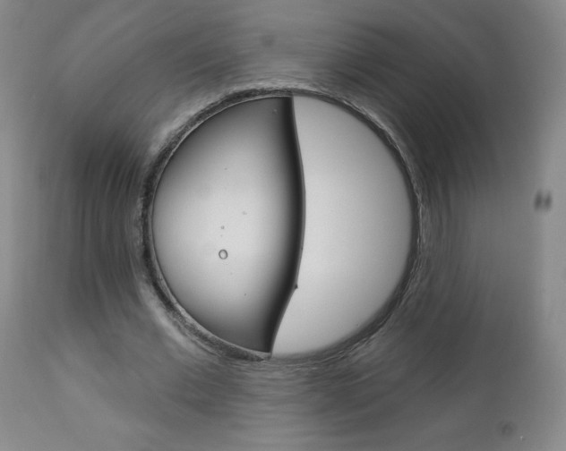 X0000112860677200908211055