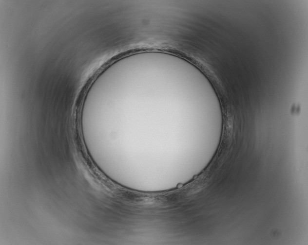 X0000112860678200908211055