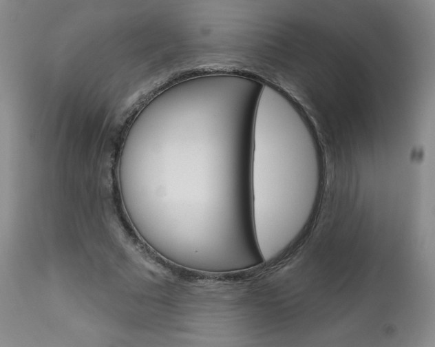 X0000112860681200908211055
