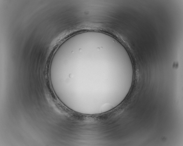 X0000112860682200908211055