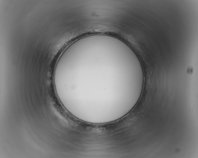 X0000112860683200908211055