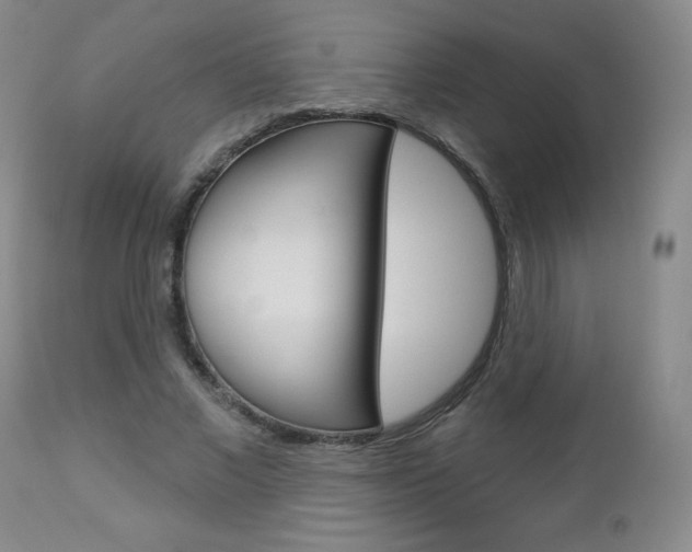 X0000112860685200908211055