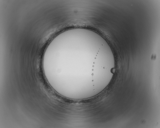X0000112860687200908211055