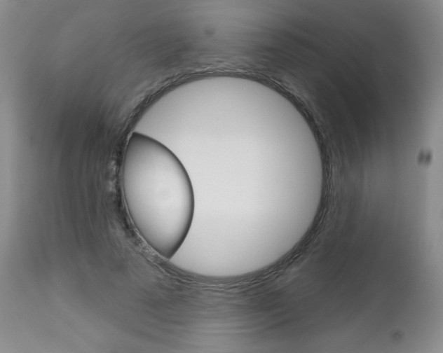 X0000112860689200908211055