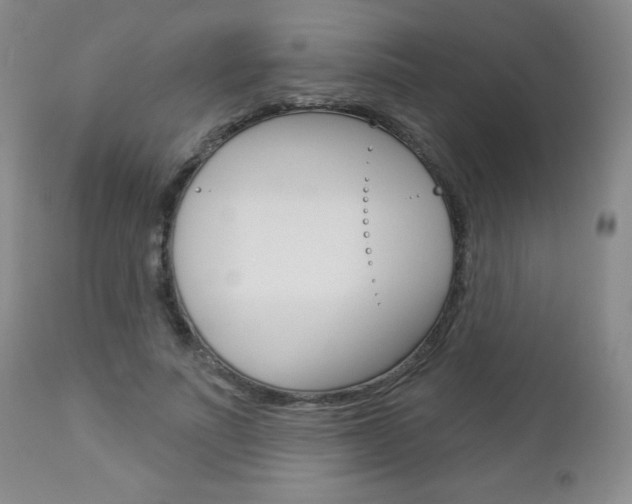 X0000112860691200908211055