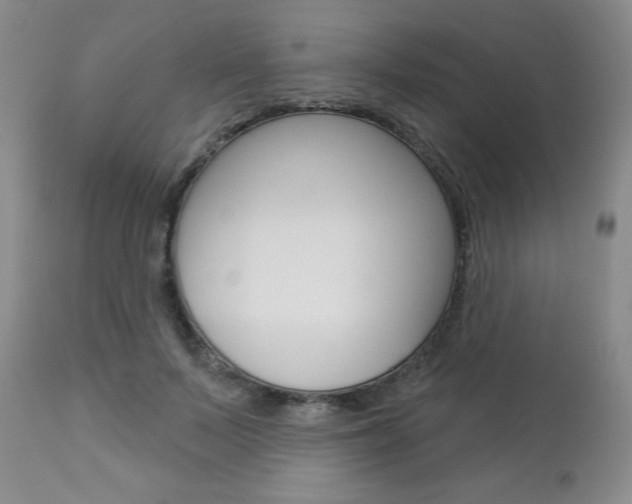 X0000112860695200908211055