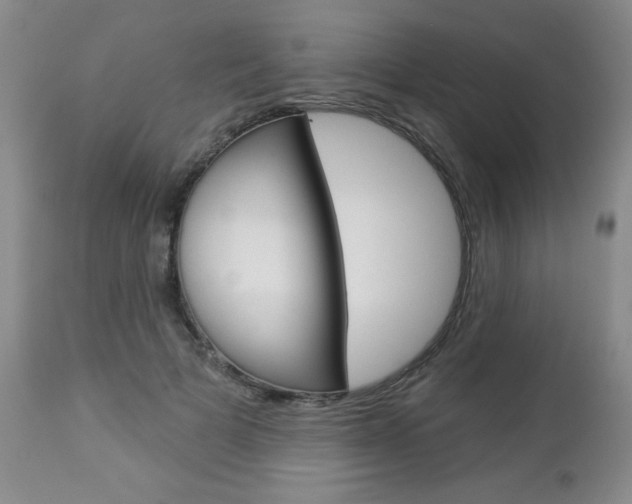 X0000112860697200908211055